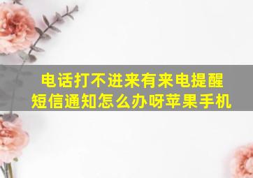 电话打不进来有来电提醒短信通知怎么办呀苹果手机