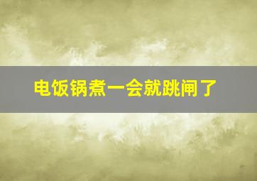 电饭锅煮一会就跳闸了