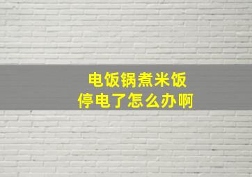 电饭锅煮米饭停电了怎么办啊