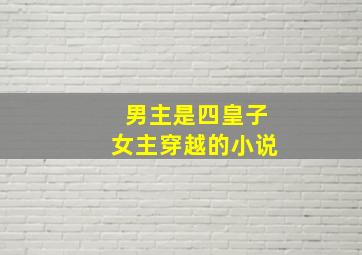 男主是四皇子女主穿越的小说