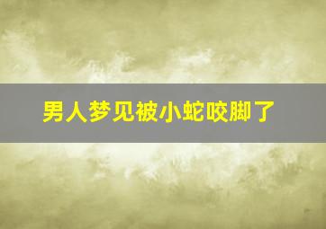 男人梦见被小蛇咬脚了