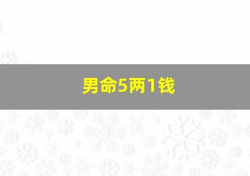 男命5两1钱