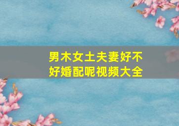 男木女土夫妻好不好婚配呢视频大全