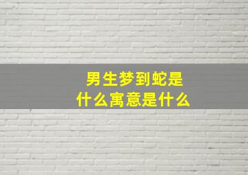 男生梦到蛇是什么寓意是什么