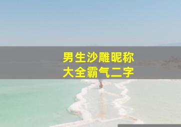 男生沙雕昵称大全霸气二字