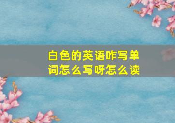 白色的英语咋写单词怎么写呀怎么读