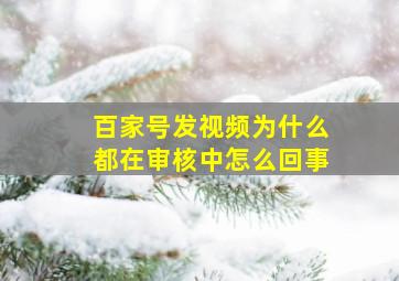 百家号发视频为什么都在审核中怎么回事