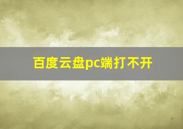 百度云盘pc端打不开