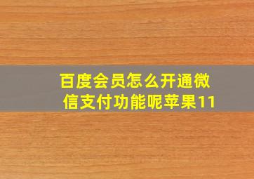 百度会员怎么开通微信支付功能呢苹果11