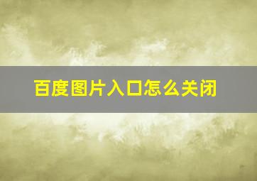 百度图片入口怎么关闭