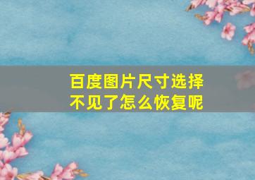 百度图片尺寸选择不见了怎么恢复呢