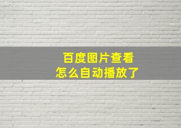 百度图片查看怎么自动播放了