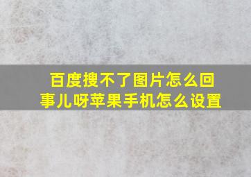 百度搜不了图片怎么回事儿呀苹果手机怎么设置