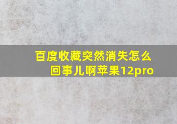 百度收藏突然消失怎么回事儿啊苹果12pro