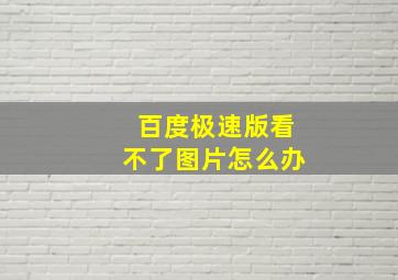 百度极速版看不了图片怎么办