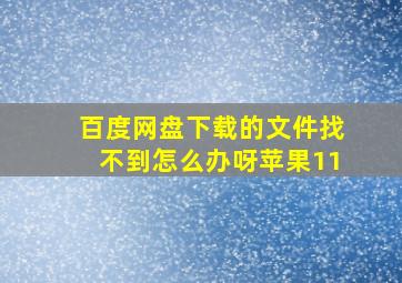 百度网盘下载的文件找不到怎么办呀苹果11