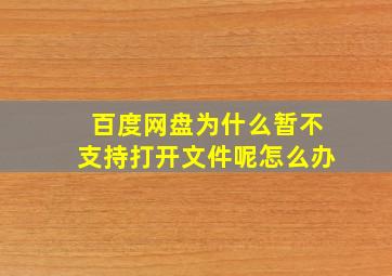 百度网盘为什么暂不支持打开文件呢怎么办