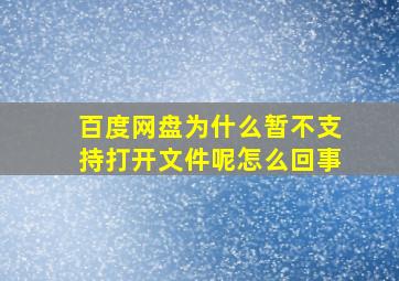 百度网盘为什么暂不支持打开文件呢怎么回事