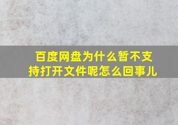 百度网盘为什么暂不支持打开文件呢怎么回事儿