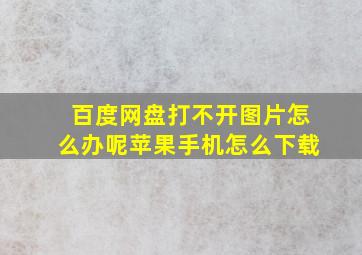 百度网盘打不开图片怎么办呢苹果手机怎么下载