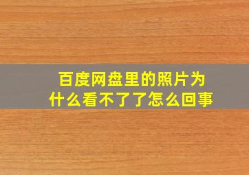 百度网盘里的照片为什么看不了了怎么回事