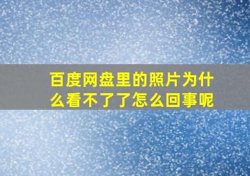 百度网盘里的照片为什么看不了了怎么回事呢