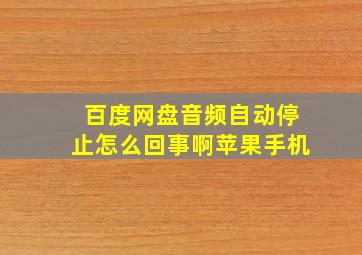 百度网盘音频自动停止怎么回事啊苹果手机