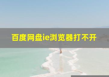 百度网盘ie浏览器打不开