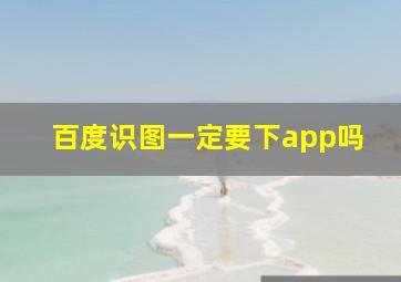 百度识图一定要下app吗