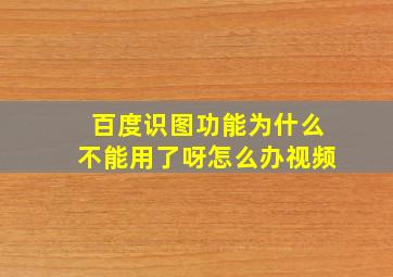 百度识图功能为什么不能用了呀怎么办视频