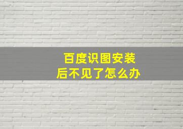 百度识图安装后不见了怎么办