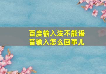 百度输入法不能语音输入怎么回事儿