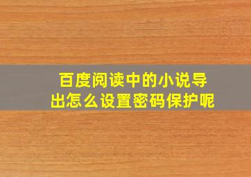 百度阅读中的小说导出怎么设置密码保护呢