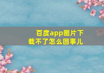 百度app图片下载不了怎么回事儿