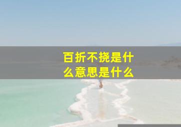 百折不挠是什么意思是什么