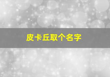 皮卡丘取个名字