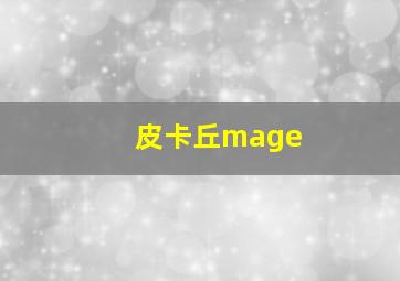 皮卡丘mage