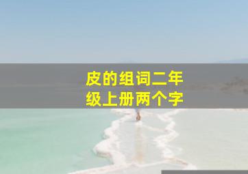 皮的组词二年级上册两个字