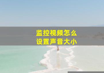 监控视频怎么设置声音大小