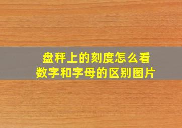 盘秤上的刻度怎么看数字和字母的区别图片