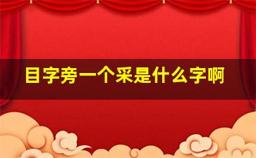 目字旁一个采是什么字啊