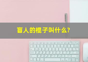 盲人的棍子叫什么?