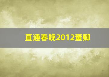 直通春晚2012董卿