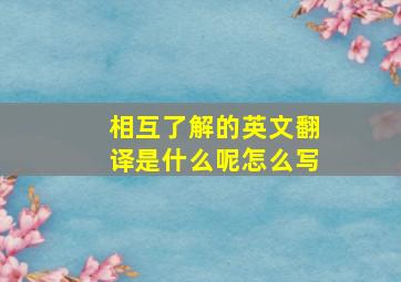 相互了解的英文翻译是什么呢怎么写