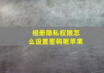 相册隐私权限怎么设置密码呢苹果