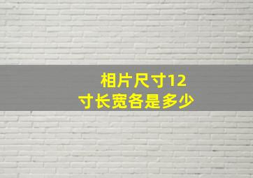 相片尺寸12寸长宽各是多少