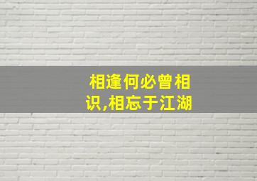 相逢何必曾相识,相忘于江湖