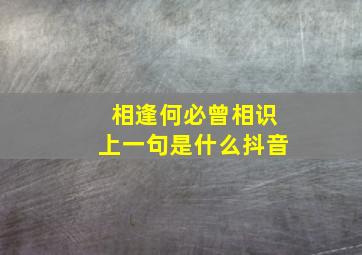 相逢何必曾相识上一句是什么抖音