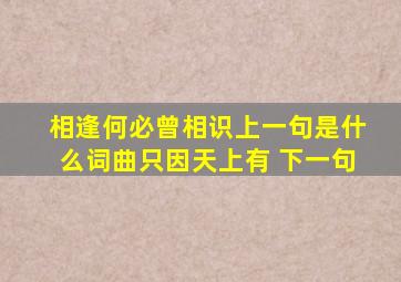 相逢何必曾相识上一句是什么词曲只因天上有 下一句