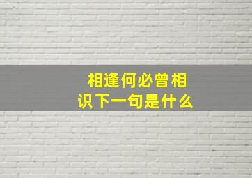 相逢何必曾相识下一句是什么